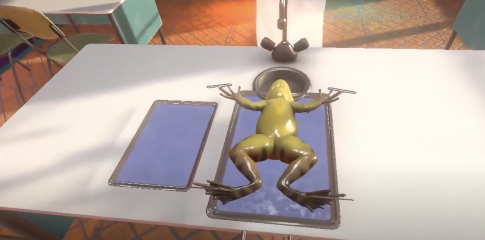 La réalité virtuelle, une alternative à la dissection animale pour les étudiants en médecine