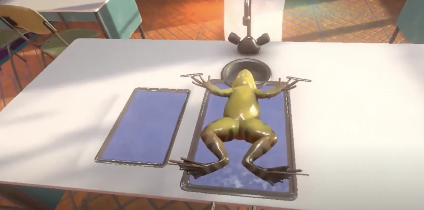 Virtual reality, an alternative to animal dissection for medical students